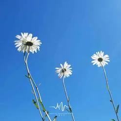 过云雨