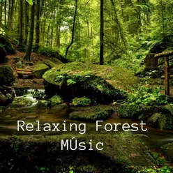 Relaxing Forest Music