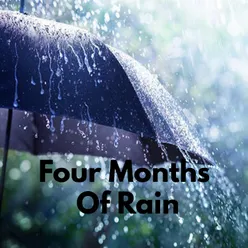 Four Months Of RainFour