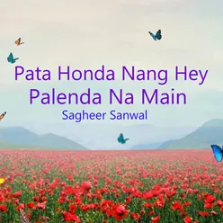 Pata Honda Nang Hey Palenda Na Main