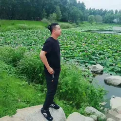 盛景中国