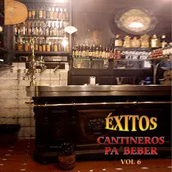 Éxitos Cantineros Pa´ Beber, Vol.6