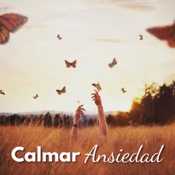 Calmar Ansiedad