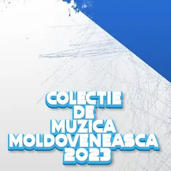 Colaj muzica de petrecere Colaj muzica moldoveneasca 2023