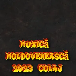 Muzica Moldoveneasca, Vol. 1