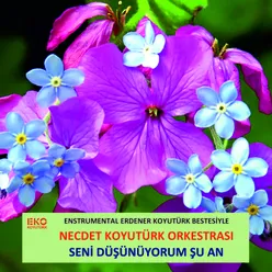 Seni Düşünüyorum Şu An