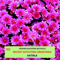 Hatırla