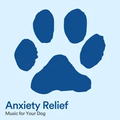 Anxiety Relief Music for Your Dog, Pt. 3