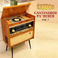 Éxitos Cantinero Pa´ Beber, Vol.7