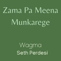 Zama Pa Meena Munkarege