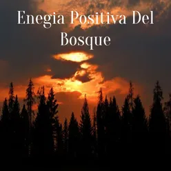 Enegia Positiva Del Bosque