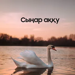 Сыңар аққу