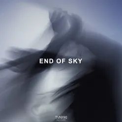 End Of Sky