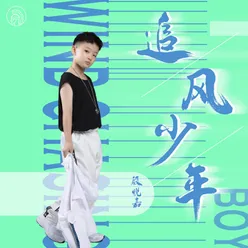 追风少年