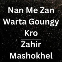 Nan Me Zan Warta Goungy Kro