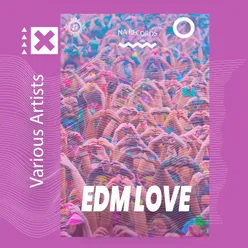 EDM LOVE