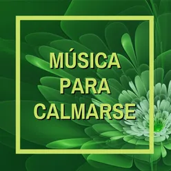 Música Para Relajarse Y Meditar