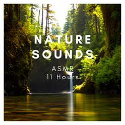 Nature Sounds