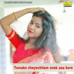 Tomake cheyechilam onek asa kore