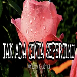 TAK ADA CINTA SEPERTIMU