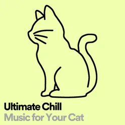 Ultimate Chill Music for Your Cat, Pt. 1