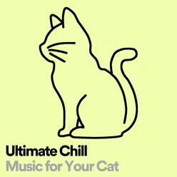 Ultimate Chill Music for Your Cat, Pt. 31