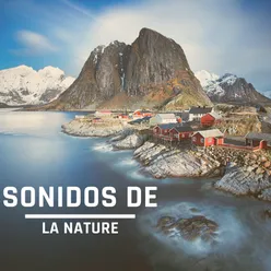 Sonidos de la naturaleza