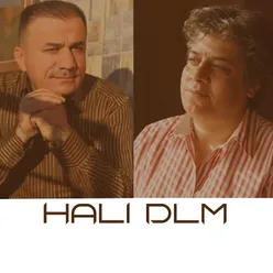 Hali Dlm