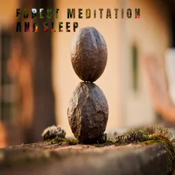 Forest Meditation and Sleep