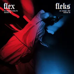 Flex - Fleks