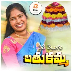 Siri Velugu Bathukamma