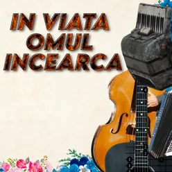 Muzica Populara Romaneasca de Petrecere Colaj