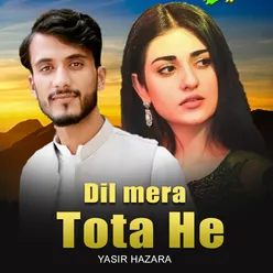 Dil Mera Tota He