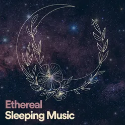 Ethereal Sleeping Music, Pt. 4