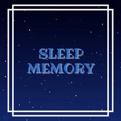 Sleep Memory