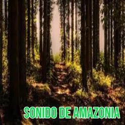 Sonido de Amazona