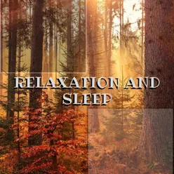Relaxation And Sleep