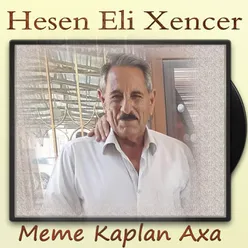 Meme Kaplan Axa