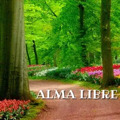 Alma Libre