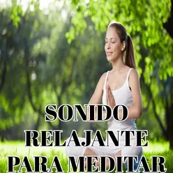 Budismo y Meditación.