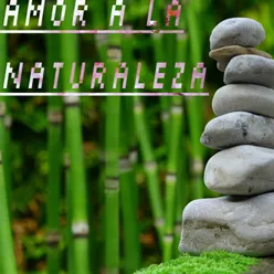 Amor a la Naturaleza