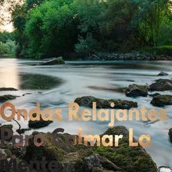 Ondas Relajantes Para Calmar La Mente