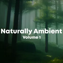 Naturally Ambient, Vol. 1