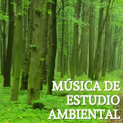 Música De Estudio Ambiental