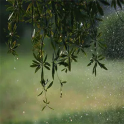 小巷听雨