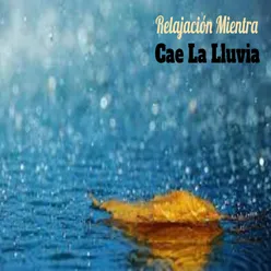 Relájate Mientra Cae La Lluvia