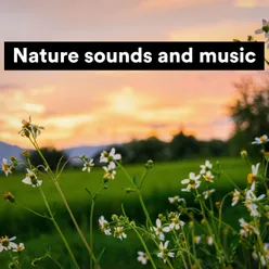Nature sounds and music, Pt. 12