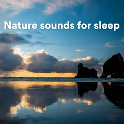 Nature sounds for sleep, Pt. 4