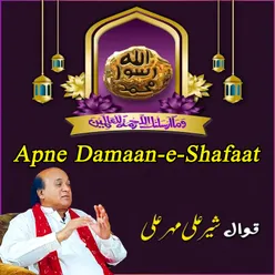 Apne Damaan-e-Shafaat