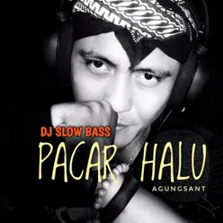 Pacar Halu (DJ Slowbass)